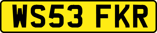 WS53FKR