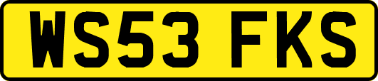WS53FKS
