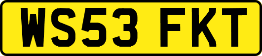 WS53FKT