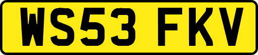 WS53FKV