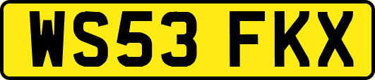 WS53FKX