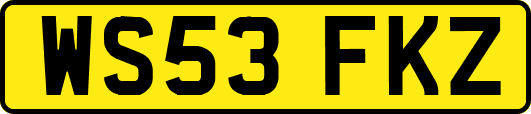 WS53FKZ