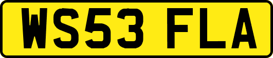 WS53FLA