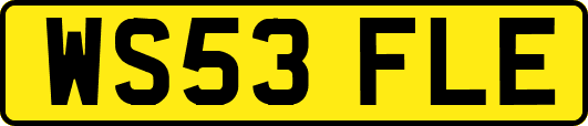 WS53FLE