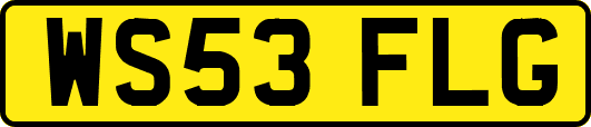 WS53FLG