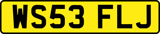 WS53FLJ