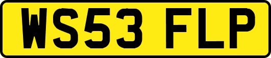 WS53FLP