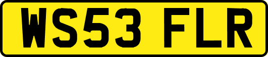 WS53FLR