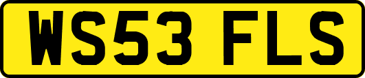 WS53FLS