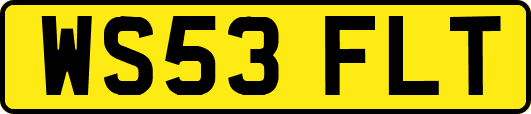WS53FLT