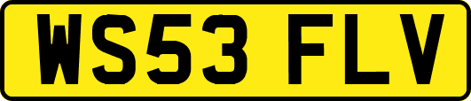 WS53FLV