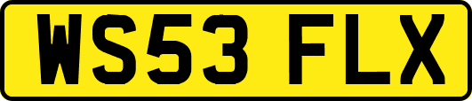 WS53FLX