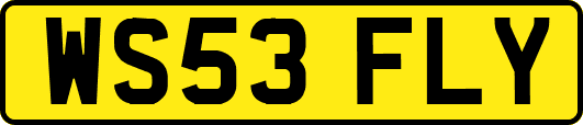 WS53FLY
