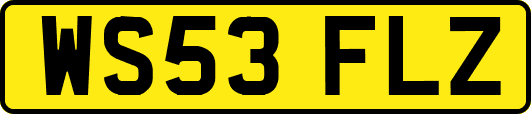 WS53FLZ