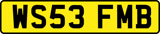 WS53FMB