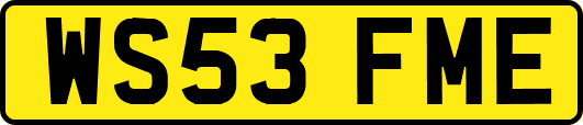 WS53FME