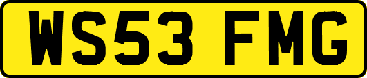 WS53FMG