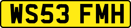 WS53FMH