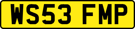 WS53FMP