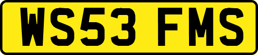 WS53FMS