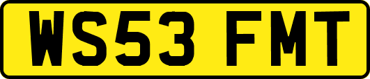 WS53FMT