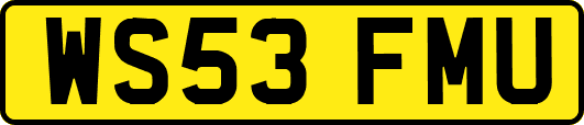 WS53FMU