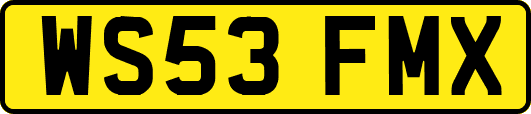 WS53FMX