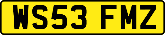 WS53FMZ