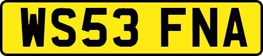 WS53FNA