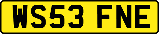 WS53FNE