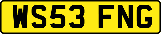 WS53FNG