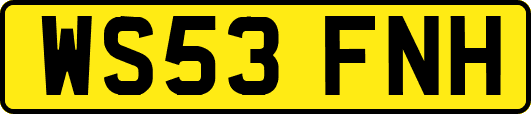 WS53FNH