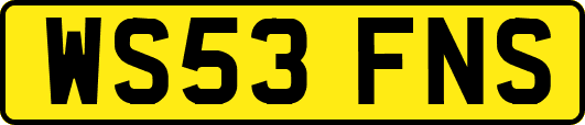 WS53FNS