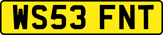 WS53FNT