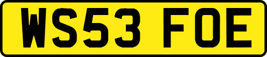 WS53FOE