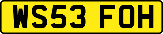 WS53FOH
