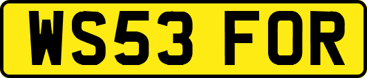 WS53FOR