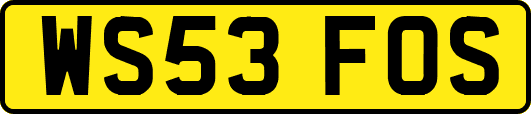 WS53FOS