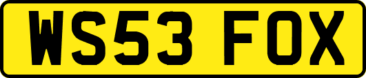 WS53FOX