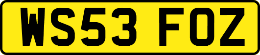 WS53FOZ