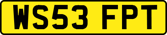 WS53FPT