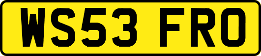 WS53FRO