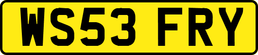 WS53FRY