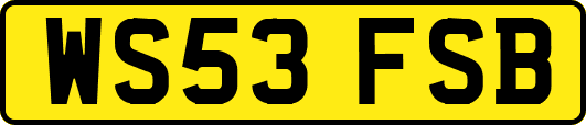 WS53FSB