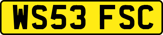 WS53FSC