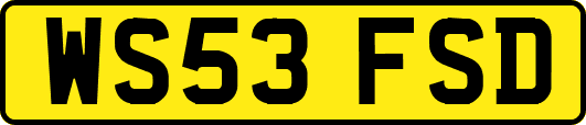 WS53FSD