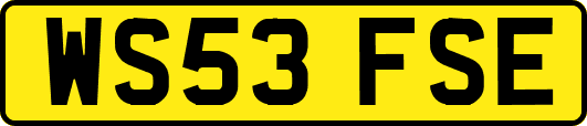 WS53FSE