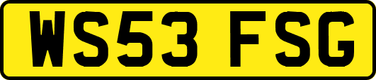 WS53FSG
