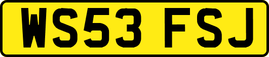 WS53FSJ
