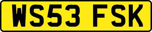WS53FSK